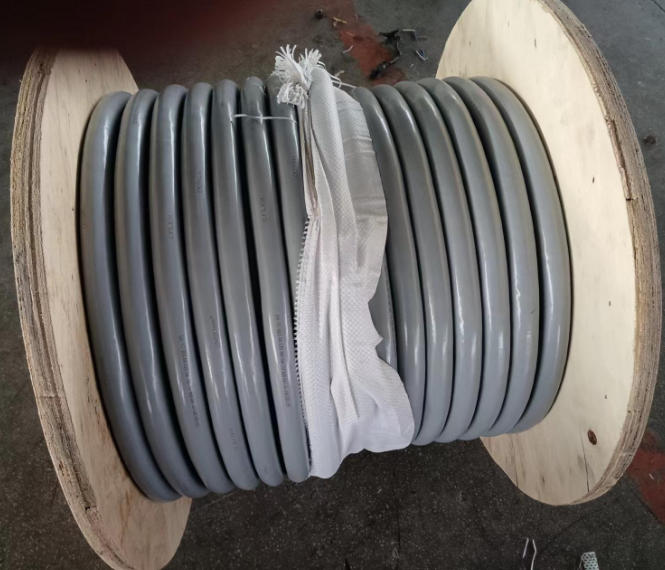QQ截图20231217154501.png
