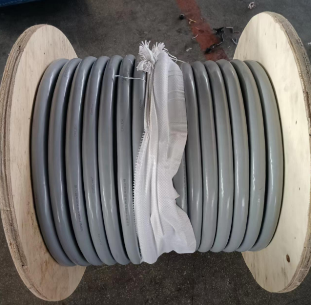 QQ截图20231217154313.png
