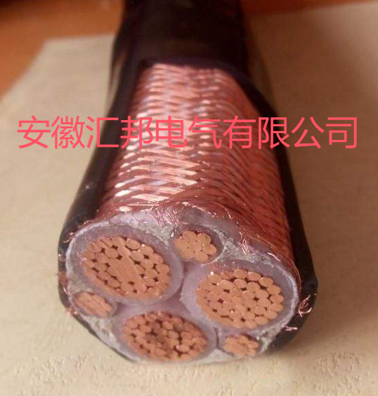 耐高温变频屏蔽电缆BPFF46-P2R  BPGGP-PR