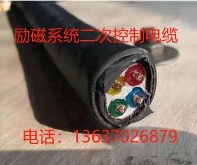 励磁系统二次控制电缆WDZ-TEGP-3KV-4*4
